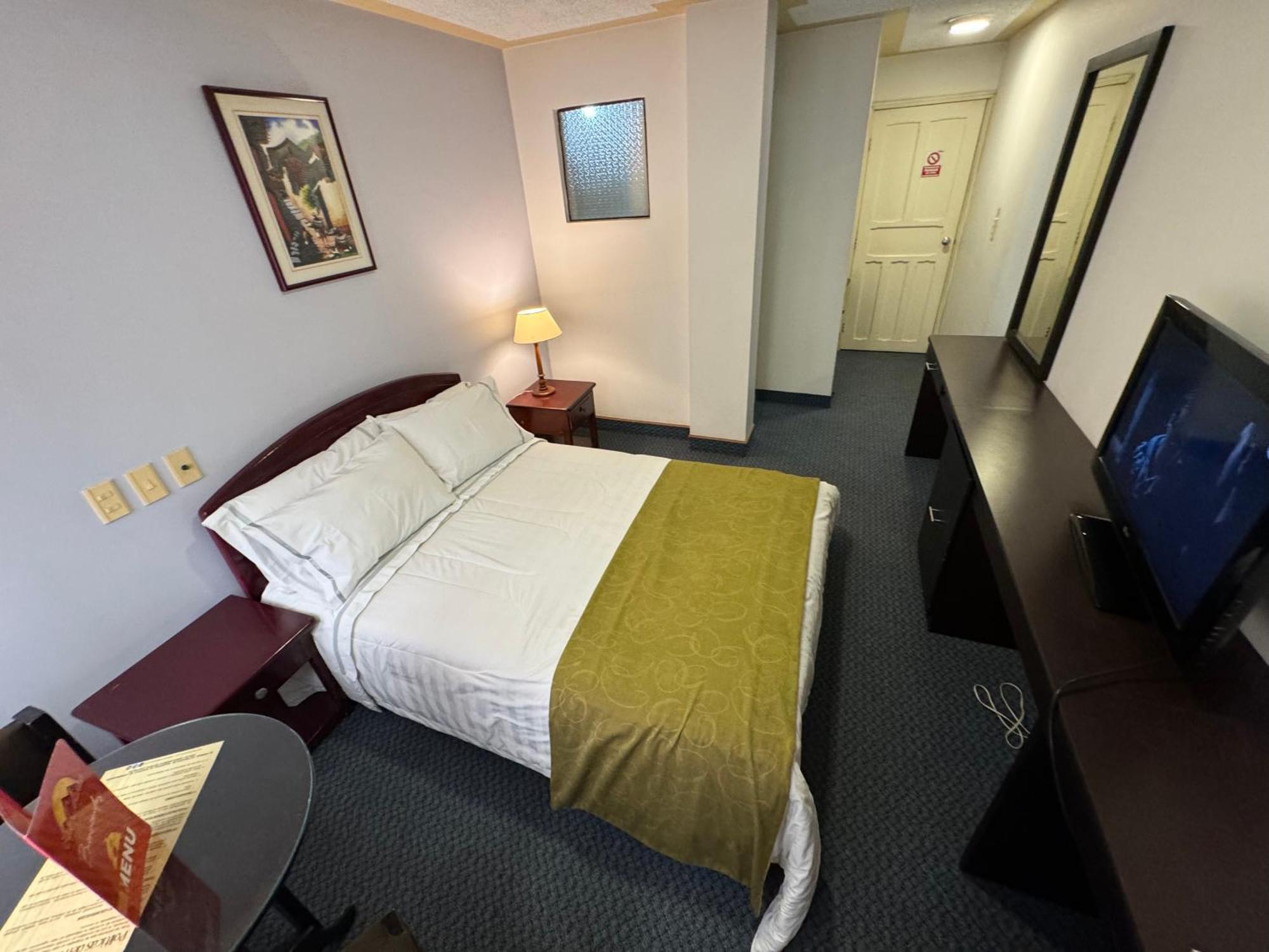 Hotel Los Andes 伊皮亚莱斯 外观 照片