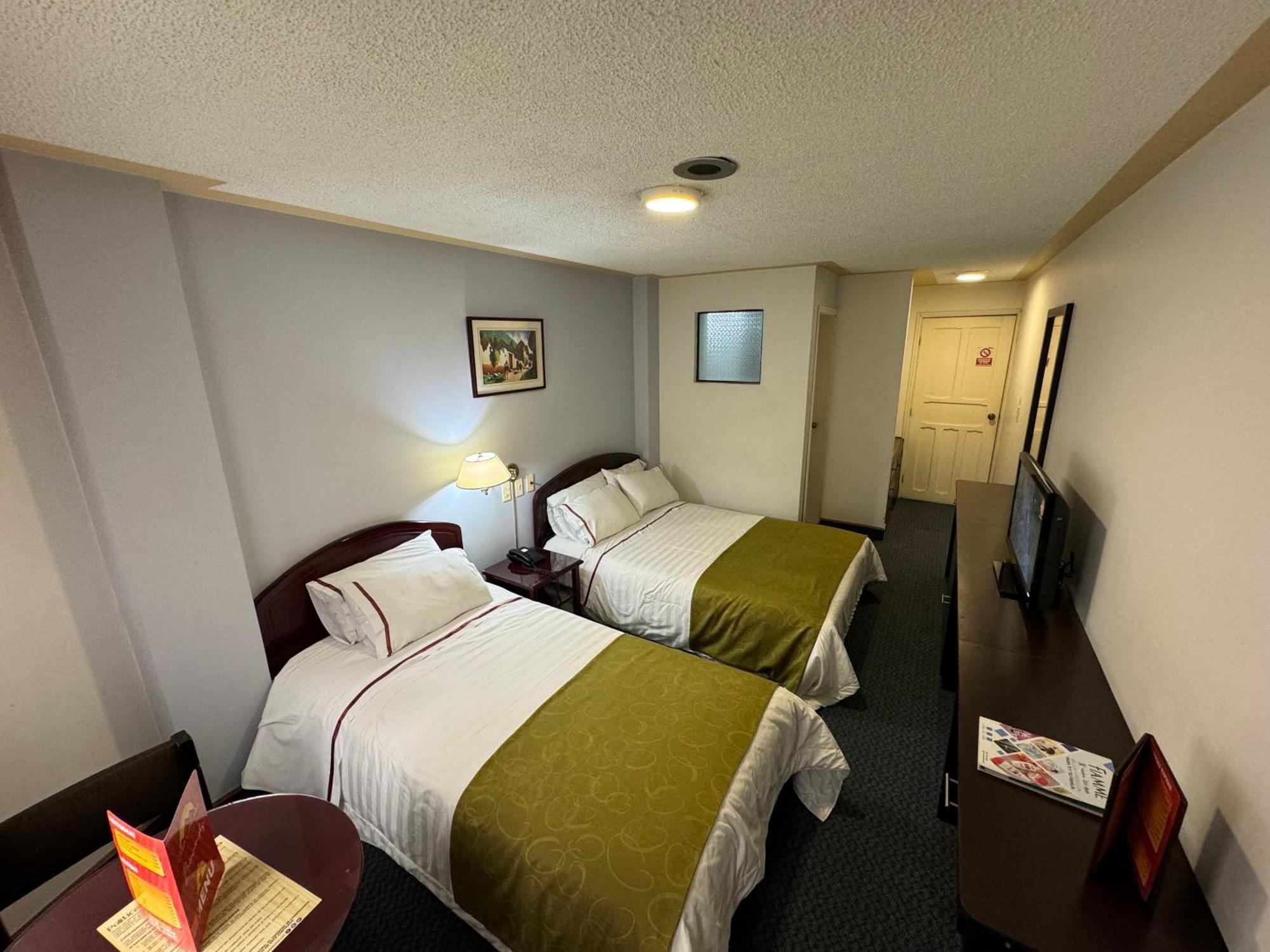 Hotel Los Andes 伊皮亚莱斯 外观 照片