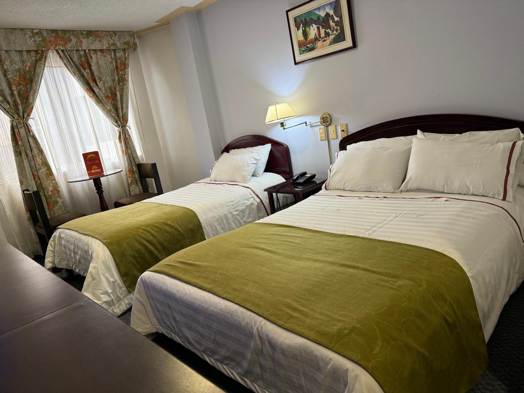 Hotel Los Andes 伊皮亚莱斯 外观 照片